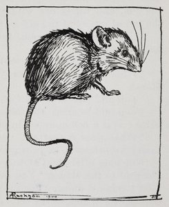 ねずみスウェーデン人 av Arthur Rackham