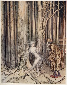 Fitchers Bird, från Little Brother & Little Sister and Other Tales by the Brothers Grimm, pub.1917 av Arthur Rackham