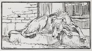 Illustration från Old Sultan of a Dog. av Arthur Rackham