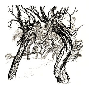 Viskande träd, från ett fat med äpplen, 1917, 1923 av Arthur Rackham