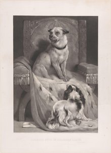 Hund på en hermelinkappa på en tron Geordie sitter i Charlies stol (titel på objekt) av Arthur Turrell