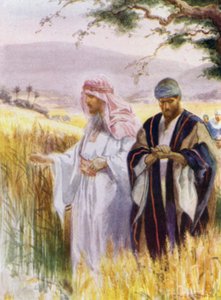Jesus och hans lärjungar i sädesfältet (färg litho)