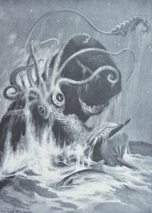 Kraken vs spermvalar