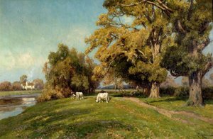 Grove Farm, Lenton, Nottingham