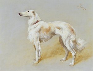 En Borzoi-hund (olja på duk)
