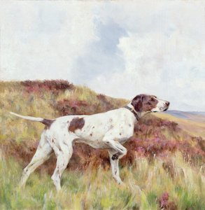 En Pointer (olja ombord) av Arthur Wardle