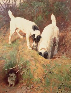 Någon hemma? av Arthur Wardle