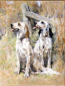 Engelska Setters av en Stile av Arthur Wardle