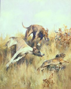 Greyhounds Giving Chase (gouache på papper)
