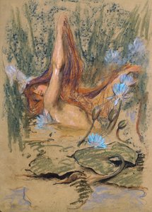 Nymphea, ca 1890 (pastell, penna och akvarell på papper) av Arthur Wardle