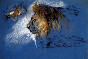 Study of a Lion, ca 1905 (pastell på blått papper)