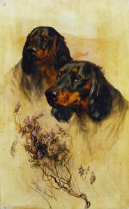 Två Gordon Setters (olja på duk) av Arthur Wardle