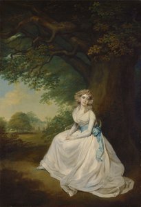 Lady Chambers av Arthur William Devis