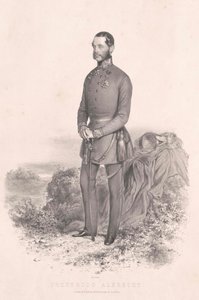 Ärkehertig av Österrike (1817-1895) Albrecht av Artist Unknown