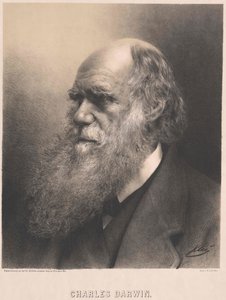 Charles Darwin av Artist Unknown