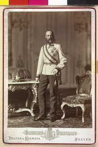 Franz Joseph I av Artist Unknown