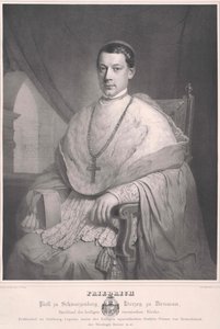 Frederick greve Schwarzenberg-Krumau av Artist Unknown