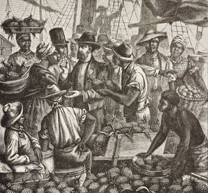 Englands historia (C19th). Kolonisering (1880). Bahama säljer ananas. Engelsk koloni på New Providence Island. Ananas var en av de viktigaste exportprodukterna från hamnen i Nassau. Gravyr. Privat samling av Artist Unknown