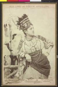 Huzulin av Artist Unknown