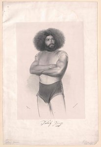 Janos Toldy av Artist Unknown