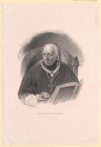 Joseph Walland av Artist Unknown