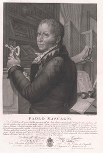 Paolo Mascagni av Artist Unknown