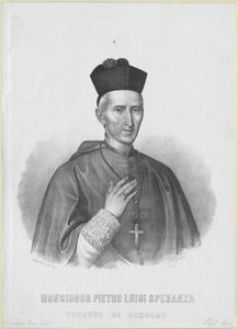 Pietro Luigi Speranza av Artist Unknown