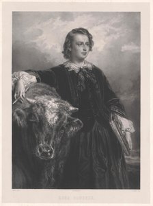 Rosa bonheur av Artist Unknown