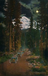På vägen från Mount Rainier National Park, Washington, c1916