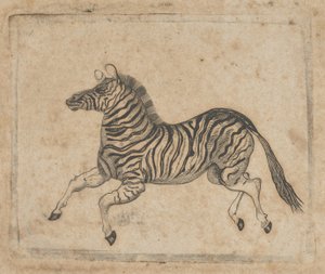 Sedelvinjett som visar en zebra, ca. 1824-37.