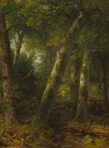 Skog i morgonljuset, ca. 1855.