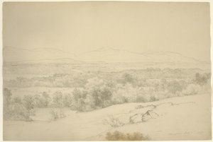 Landskap, Barrytown, New York, 1865 (grafit med stumpning på brunt papper)
