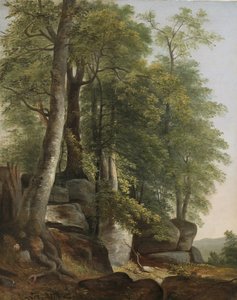 Landskap med stenar och träd, c.1845 av Asher Brown Durand