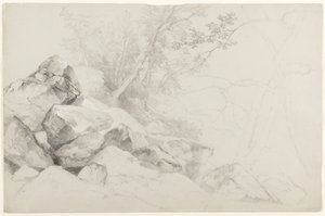 Studie av stenar med träd, Haag, Lake George, New York, 1862 (grafit på grått papper) av Asher Brown Durand