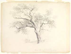 Chestnut Oak on the Hosack Estate, Hyde Park, New York med fem figurer och en skissande konstnär, 1838 (grafit på papper) av Asher Brown Durand