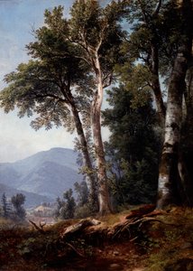 Skogslandskap av Asher Brown Durand
