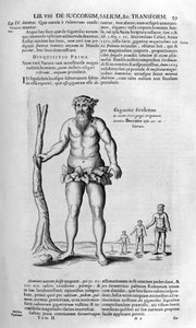 Antidiluvianska jättar, 1678.