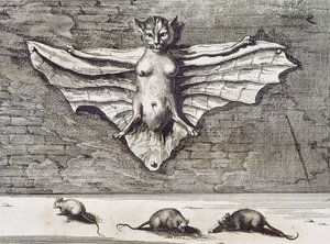 Flygande katt, 1667 av Athanasius Kircher