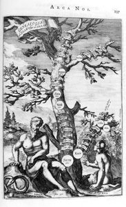 Adams släktträd, 1675. av Athanasius Kircher