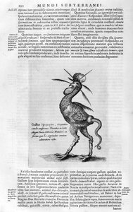 Mytiska varelser, 1678. av Athanasius Kircher