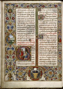 Missal av Thomas James: sida med en bokstav: Magiernas tillbedjan och en medaljong i marginalen: herdarna vid bebådelsen.
