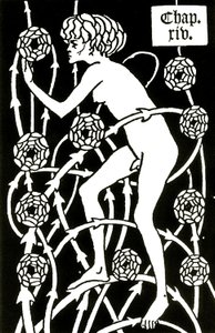 hermafrodit bland rosorna från Le morte d