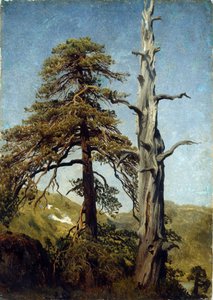 ""Studier av träd, Norge"" Målning av August Cappelen (1827-1852) 1850 Nationalmuseet för konst, Oslo, Norge