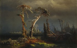 Rising storms - döende urskog i stormar (olja på duk)