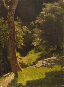 Parklandskap med trädgårdsgång (olja på duk) av August Cappelen