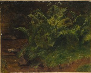 Studie av ormbunke (olja på duk)