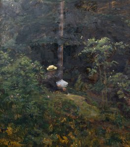 Skogsinteriör