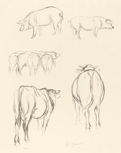Djurskisser