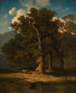 skogslandskap av August Maximilian Zimmermann