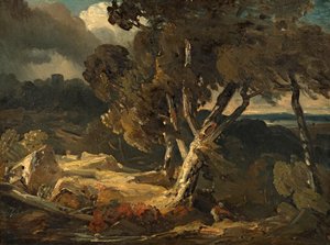 storm landskap